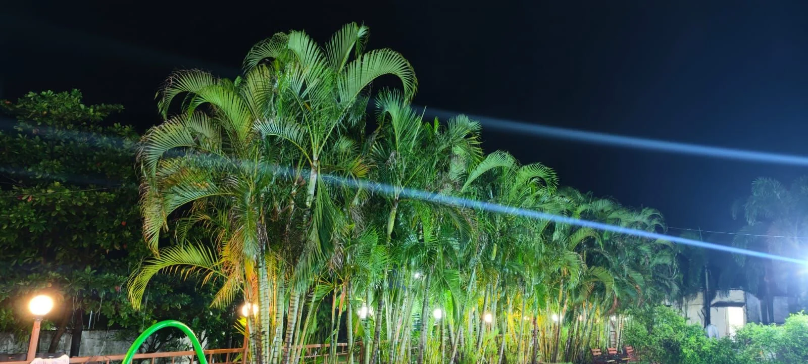 Resort Pathway surrounded with tropical palms at night