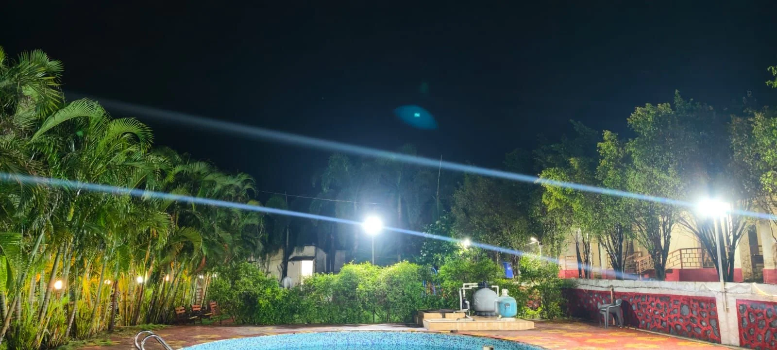 Poolside filtration system and palm walkway